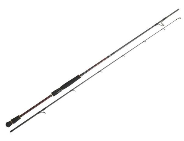 Canne Daiwa Inffet Seabass 902 MHFS CF