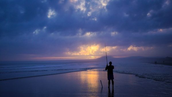 La boite à pêche, la base de la réussite - Sunset Fishing