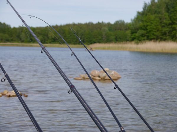 Canne à pêche : les 3 actions canne