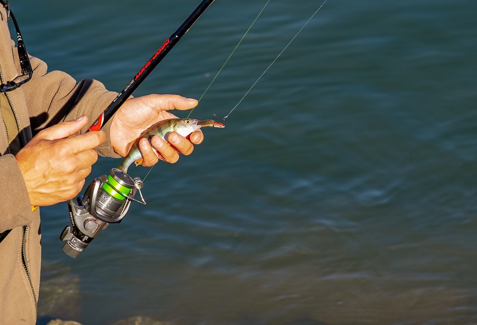 Bien choisir votre canne à pêche en mer